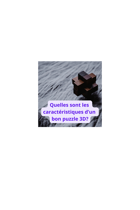 Quelles sont les caractéristiques d'un bon puzzle 3D? - Jeux jouets à moi