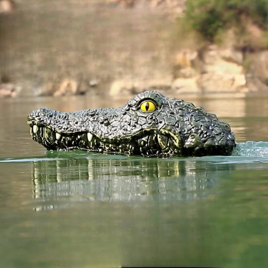 bateau télécommandé - crocrodile - Jeux jouets à moi