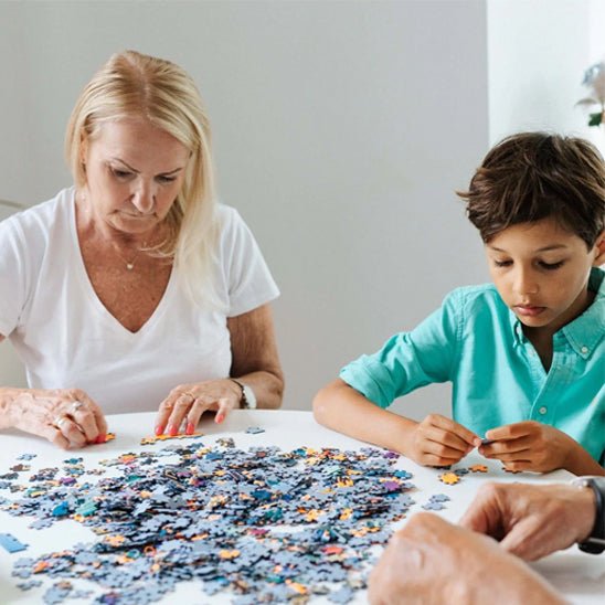Puzzle 1000 pièces - rivière d'hiver - Jeux jouets à moi