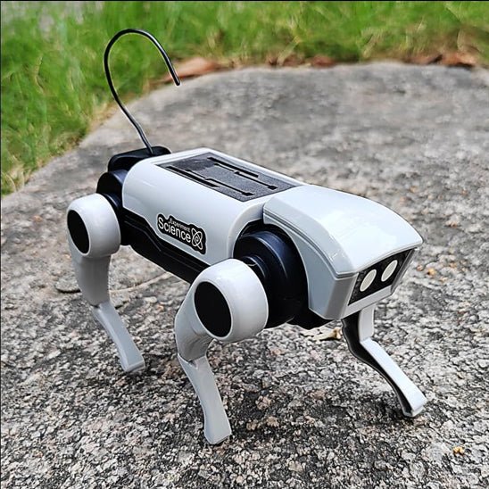 Robot enfant - le chat - Jeux jouets à moi