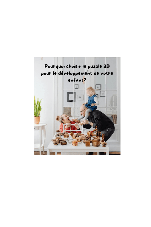 Pourquoi choisir le puzzle 3D pour le développement de votre enfant? - Jeux jouets à moi
