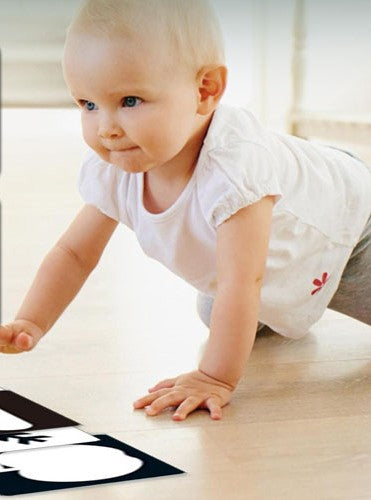 Jouet bébé 1 ans - cartes visuelles