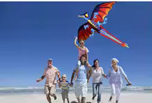 Cerf volant de dragon pour encourager les activités extérieures de votre enfant
