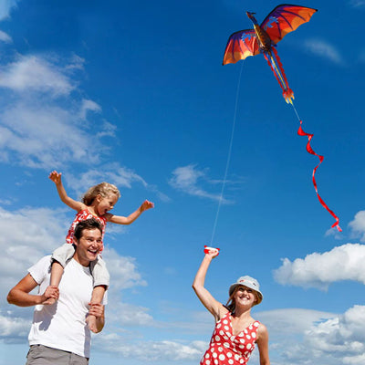 Cerf volant de dragon pour encourager les activités extérieures de votre enfant
