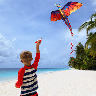 Cerf volant de dragon pour encourager les activités extérieures de votre enfant