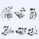 Chien Interactif Jouet - Marche, Aboie, Remue La Queue, Peluche Douce, Pour Enfants 2-5 Ans - 8