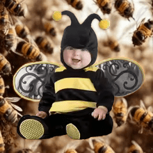 Deguisement halloween enfant - bébé les animaux rigolos 1 - Jeux jouets à moi