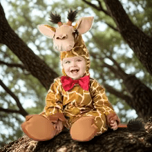Deguisement halloween enfant - bébé les animaux rigolos 1 - Jeux jouets à moi