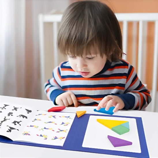 Jeu de logique - Tangram - Jeux jouets à moi
