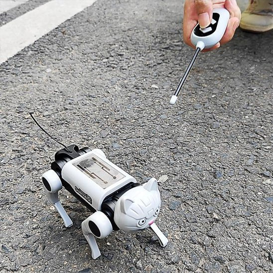 Robot enfant - le chat - Jeux jouets à moi