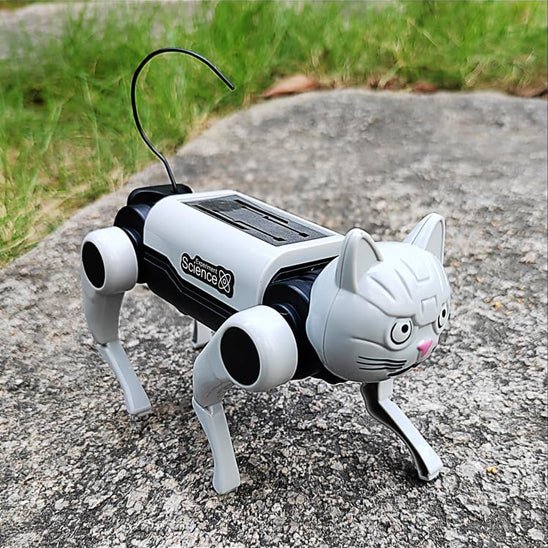 Robot enfant - le chat - Jeux jouets à moi